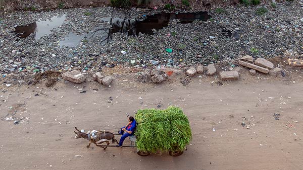 EGYPT: Sustainable Rural Sanitation Services Program