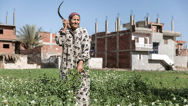 EGYPT: Sustainable Rural Sanitation Services Program